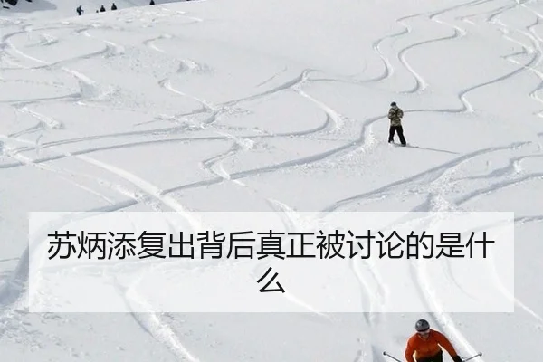 su-bing-tian-fu-chu-bei-hou-zhen-zheng-bei-tao-lun-de-shi-shen-me-1-214.jpg（kaiyun）